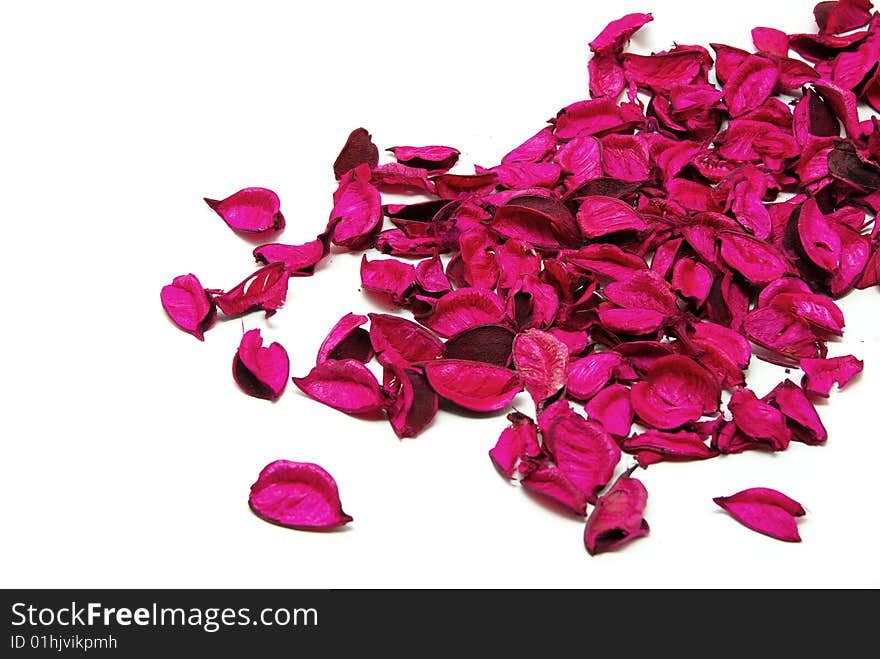 Rose petals on white background