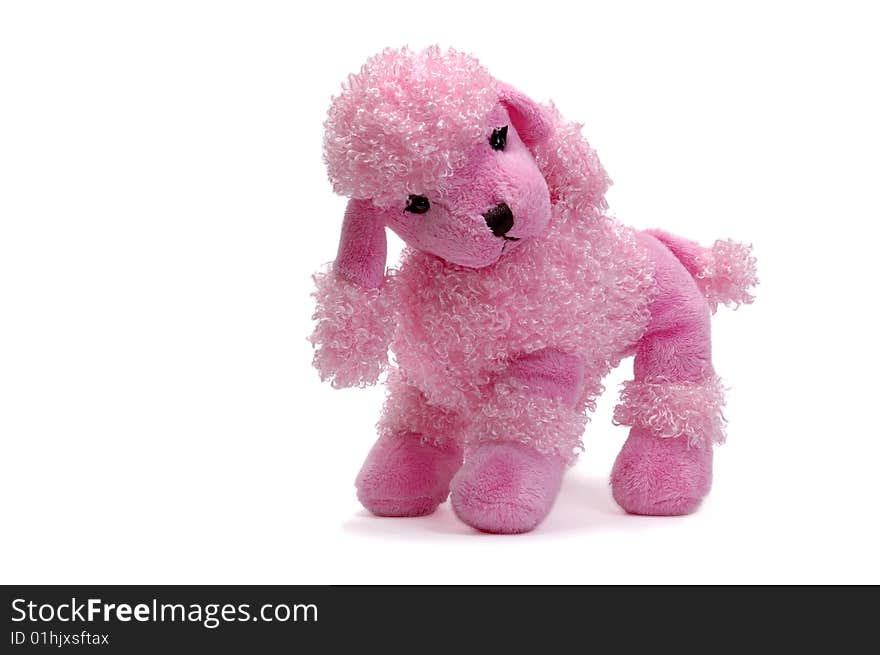 Pink puppy, plush dog