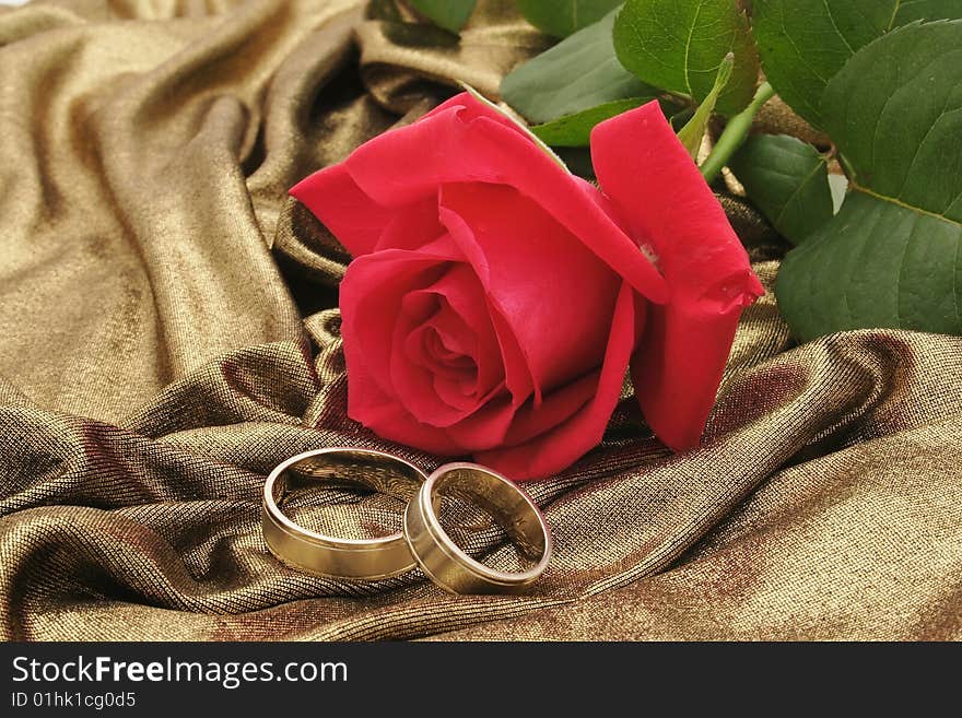 Rose and weeing rings on the gold background. Rose and weeing rings on the gold background