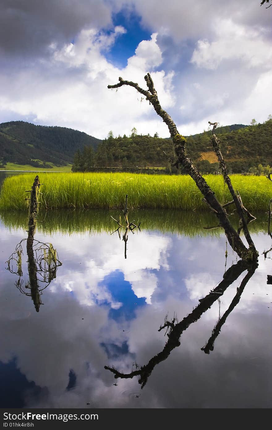 Lake water of the equanimity pours to mapping the sky and plant, very of beauty. Lake water of the equanimity pours to mapping the sky and plant, very of beauty