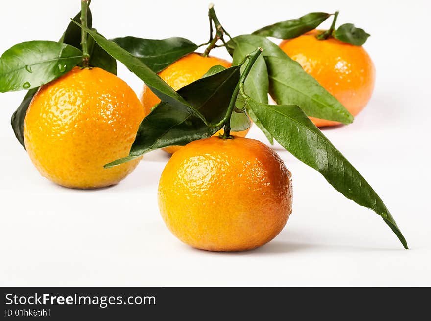 Orange with leaf on bright background. Shot in Studio