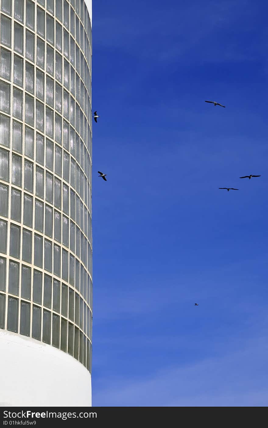 Glass building and birds in blue sky