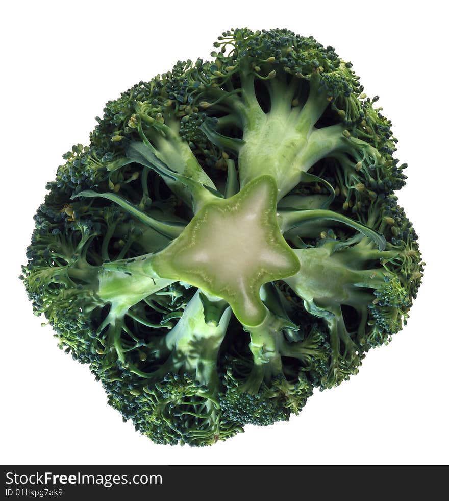 Broccoli isolated on white background