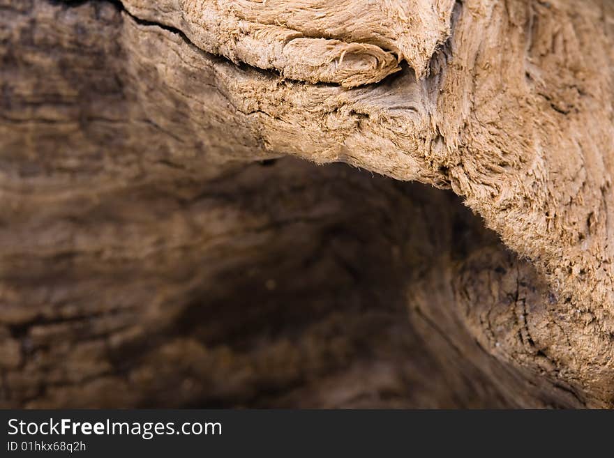 Old, rotten wood. Macro. From river.