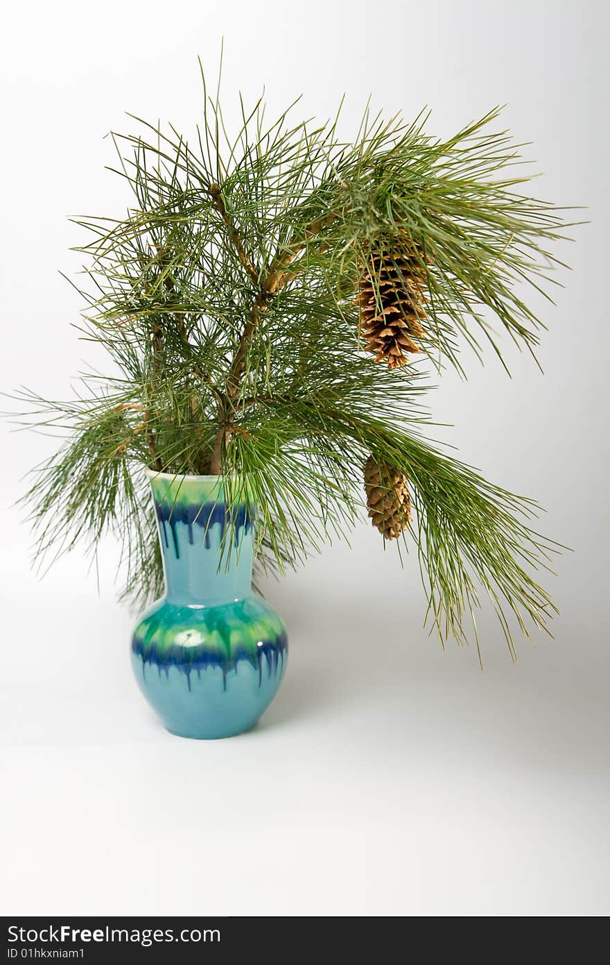 Blue vase, pottery, pine cones  and branch. Blue vase, pottery, pine cones  and branch