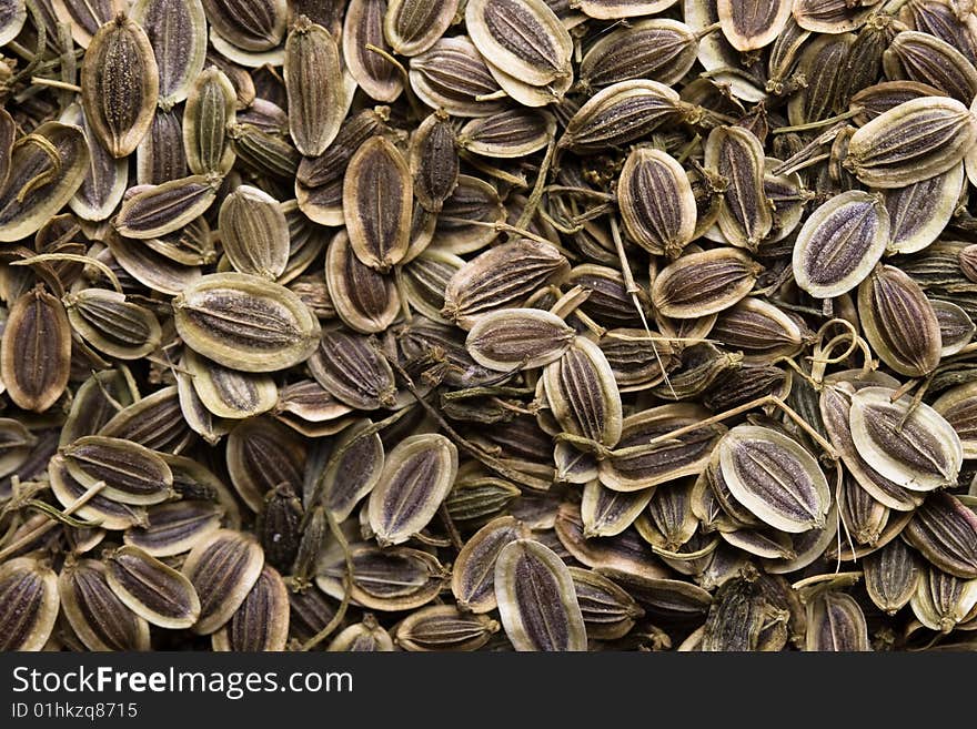 Dill seeds