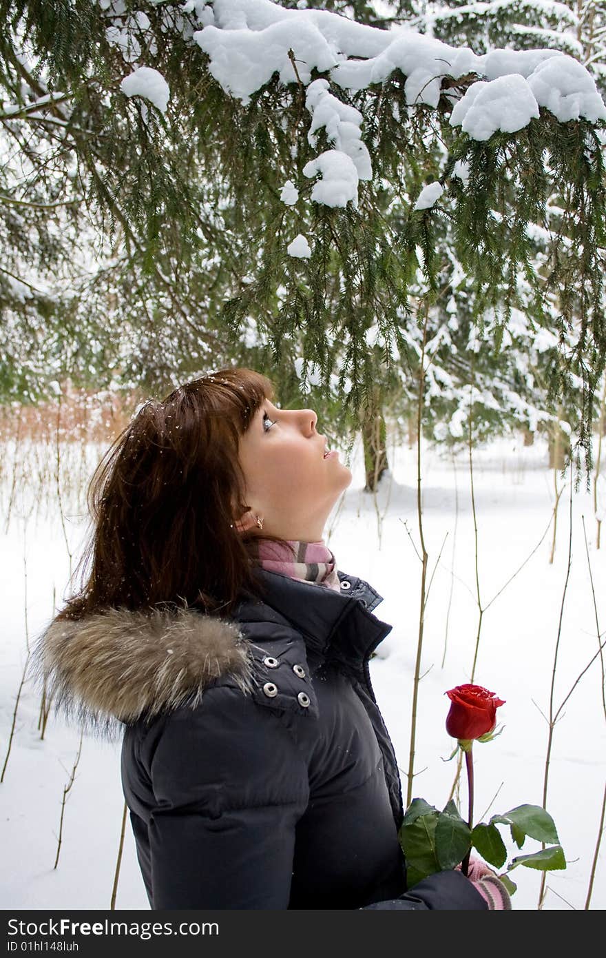 Girl with rose under the tree full of snow