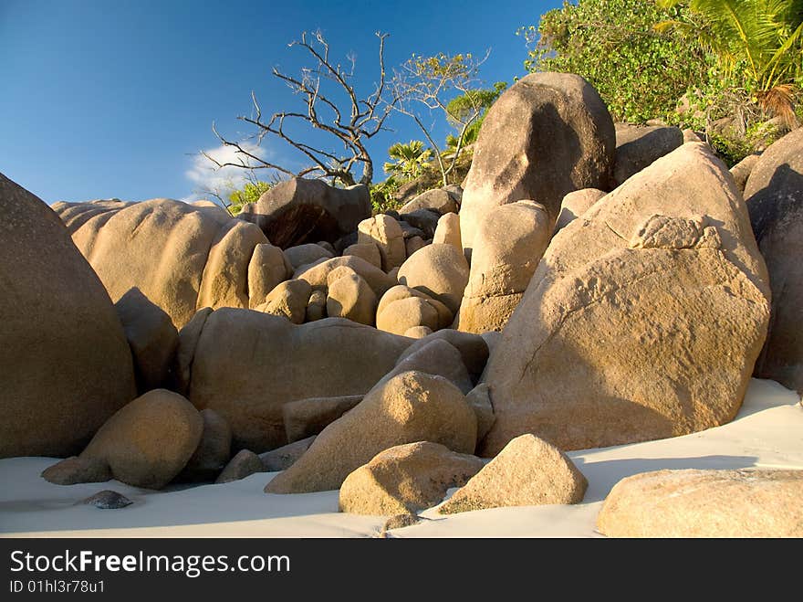 Seychelles stones and palm trees on the bank of azure ocean. Seychelles stones and palm trees on the bank of azure ocean