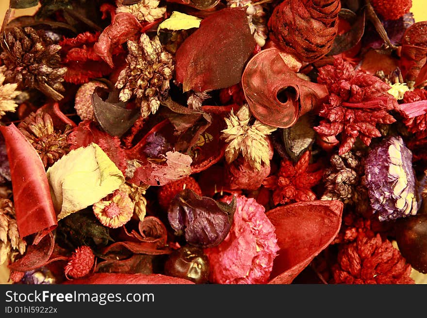 Dry flowers