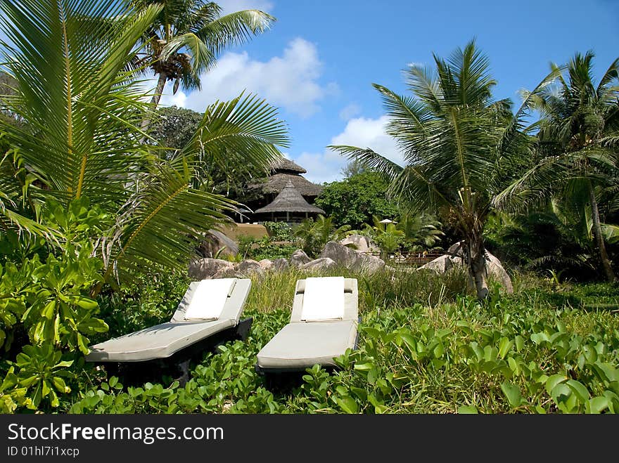 Seychelles stones and palm trees on the bank of azure ocean. Seychelles stones and palm trees on the bank of azure ocean