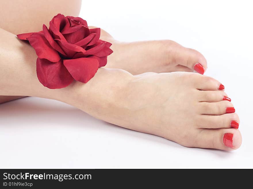 Female feet and silk rose