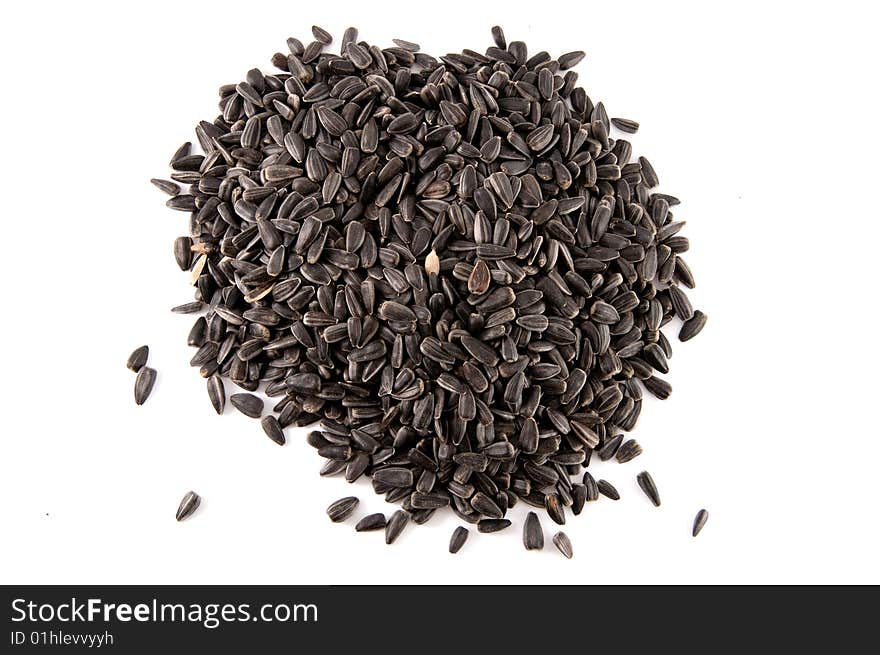 Sunflower Seeds