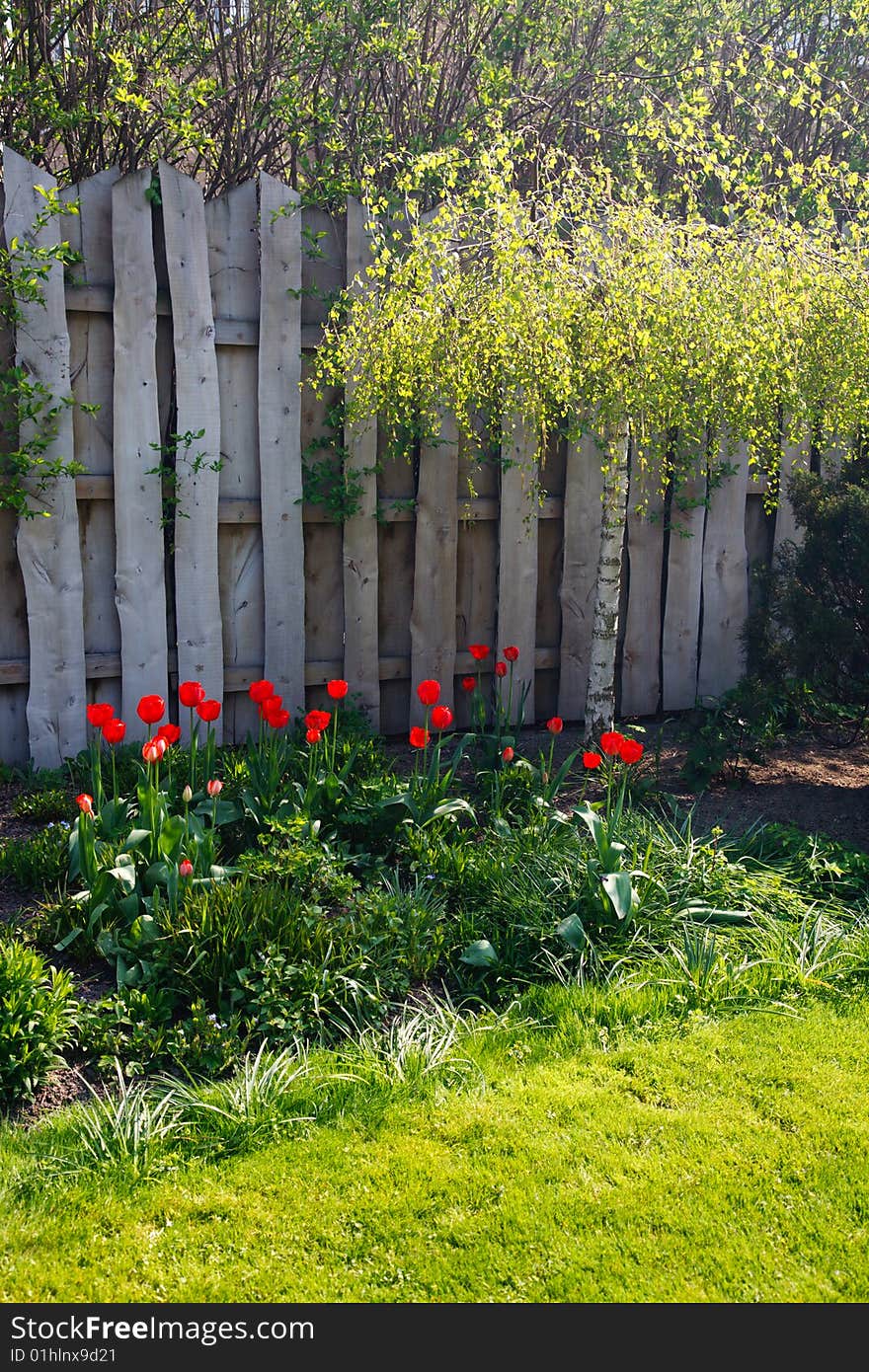 Spring flowers in the polish gardens