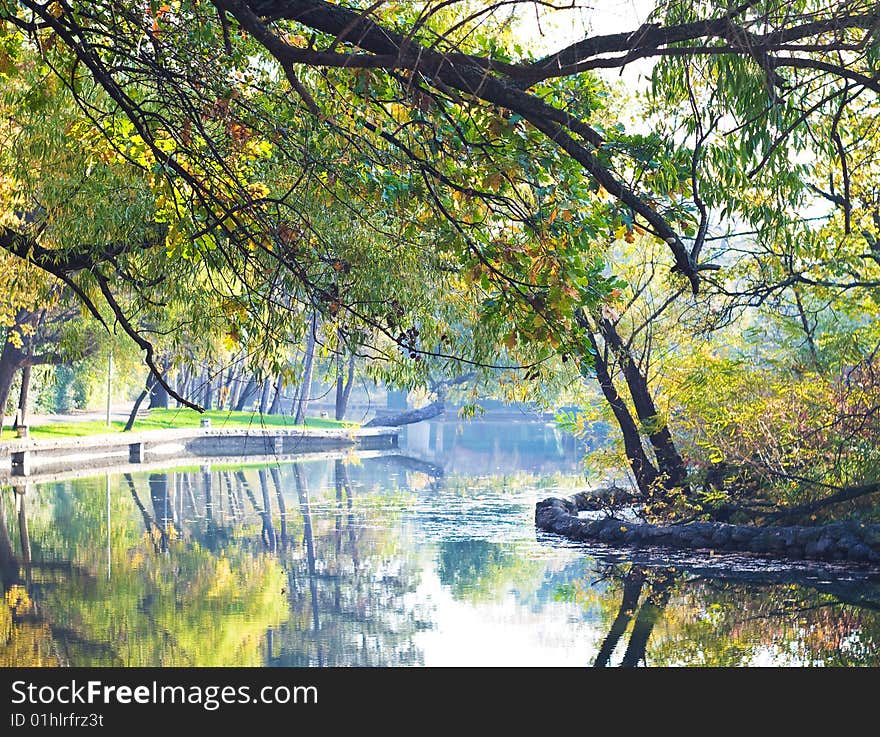 Park autumn landscape