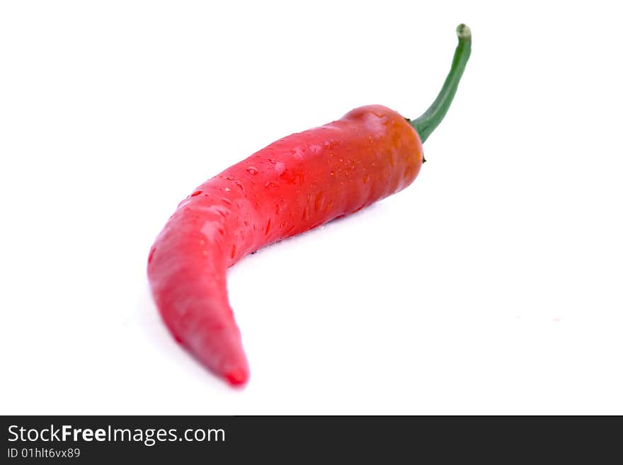 Single Red Chilli