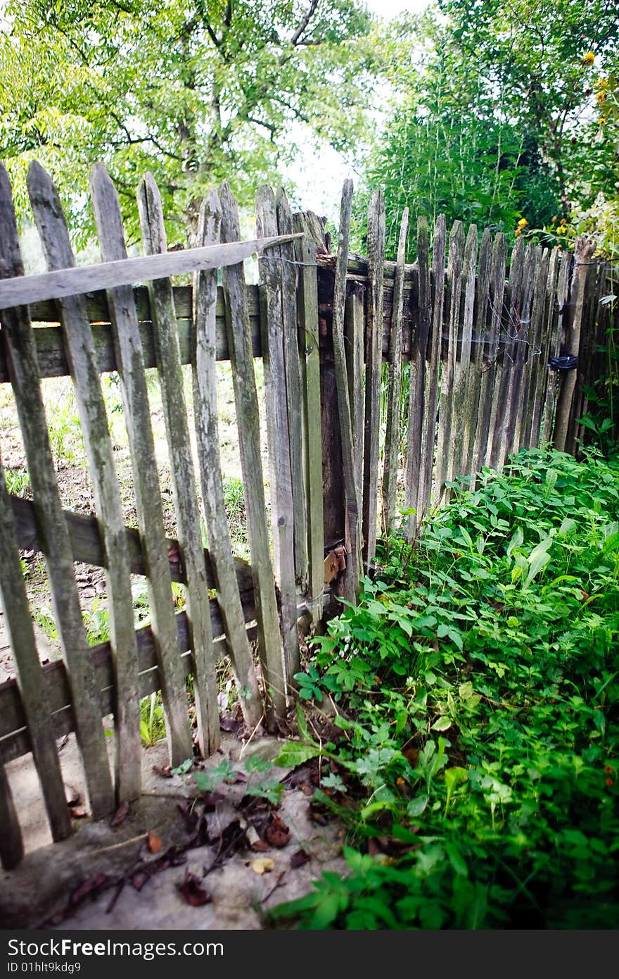 Fence in the garden and sun