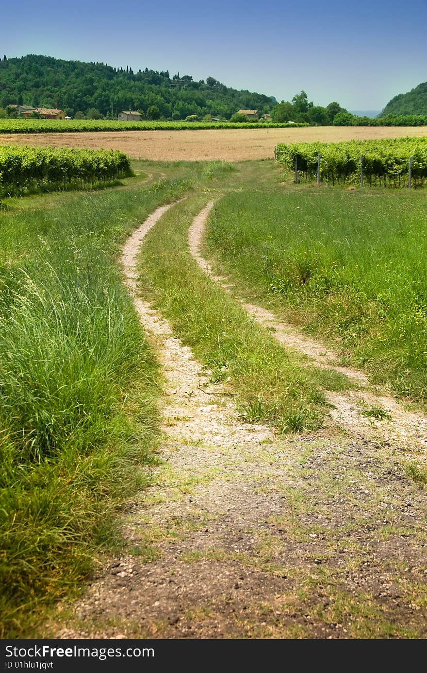 Country road in the north of Italy. Country road in the north of Italy