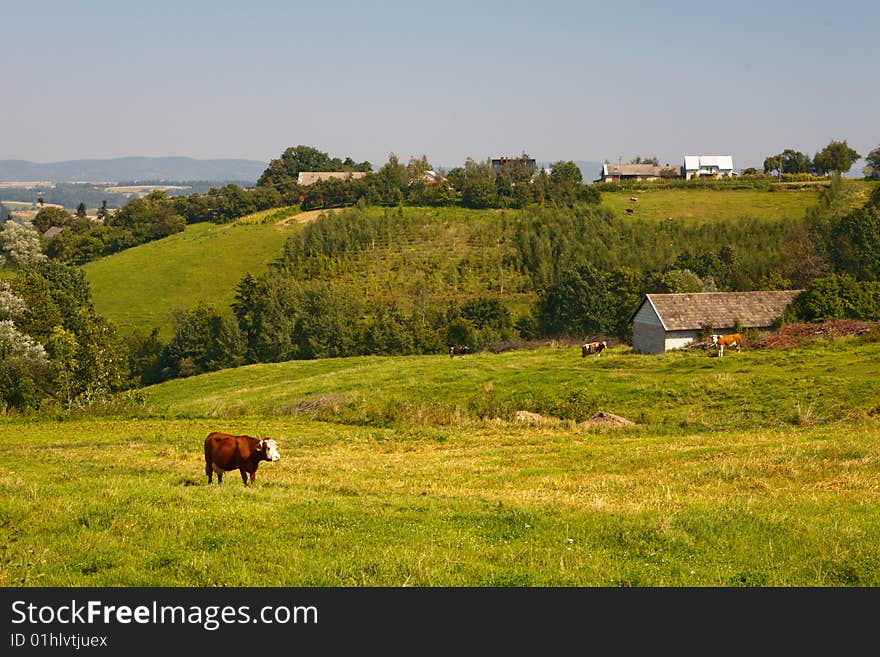 Landscape in poland