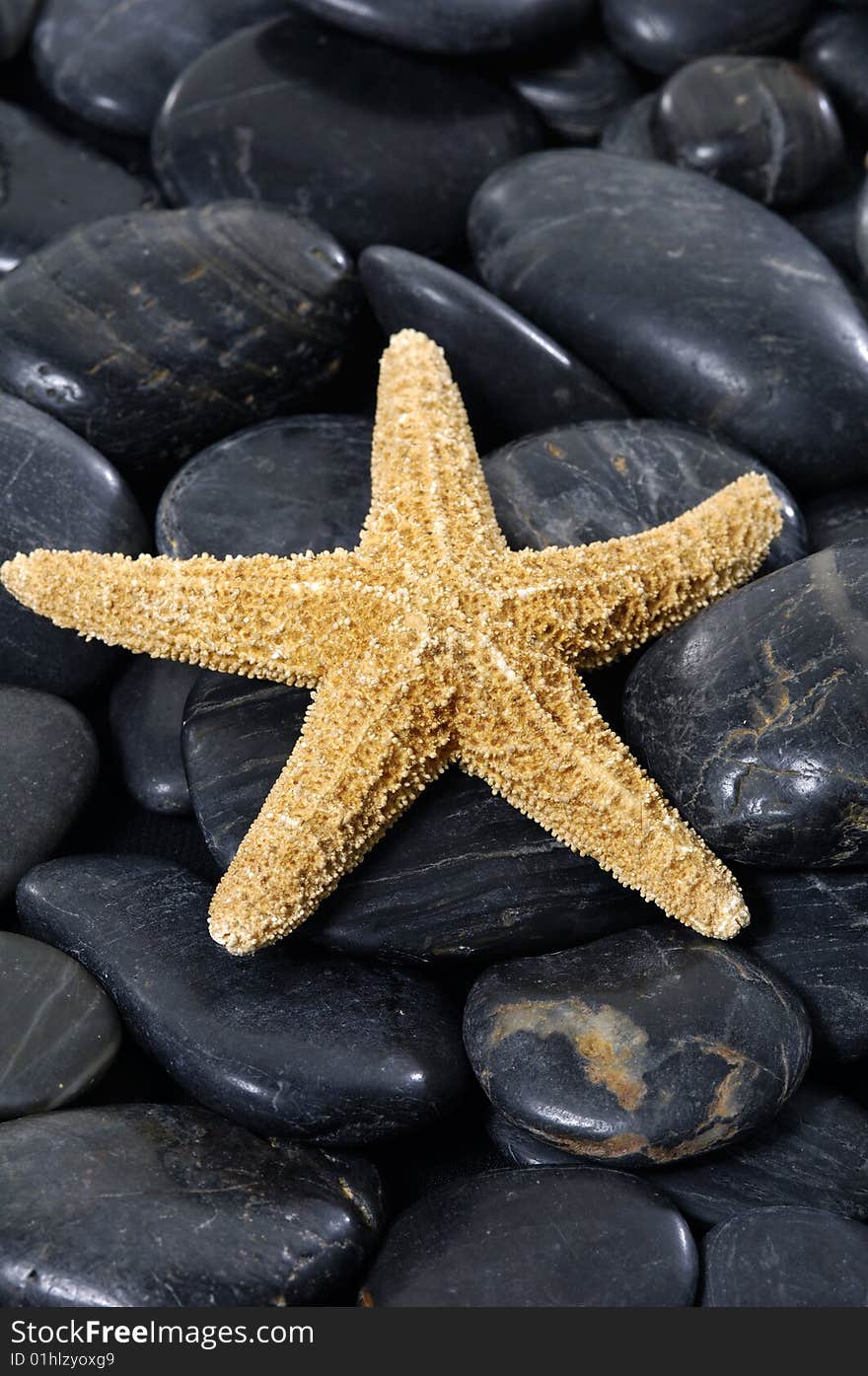 White starfish on pebble background. White starfish on pebble background