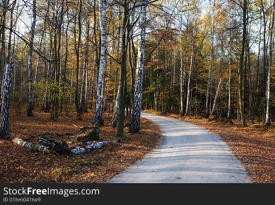 Polish road in autumn