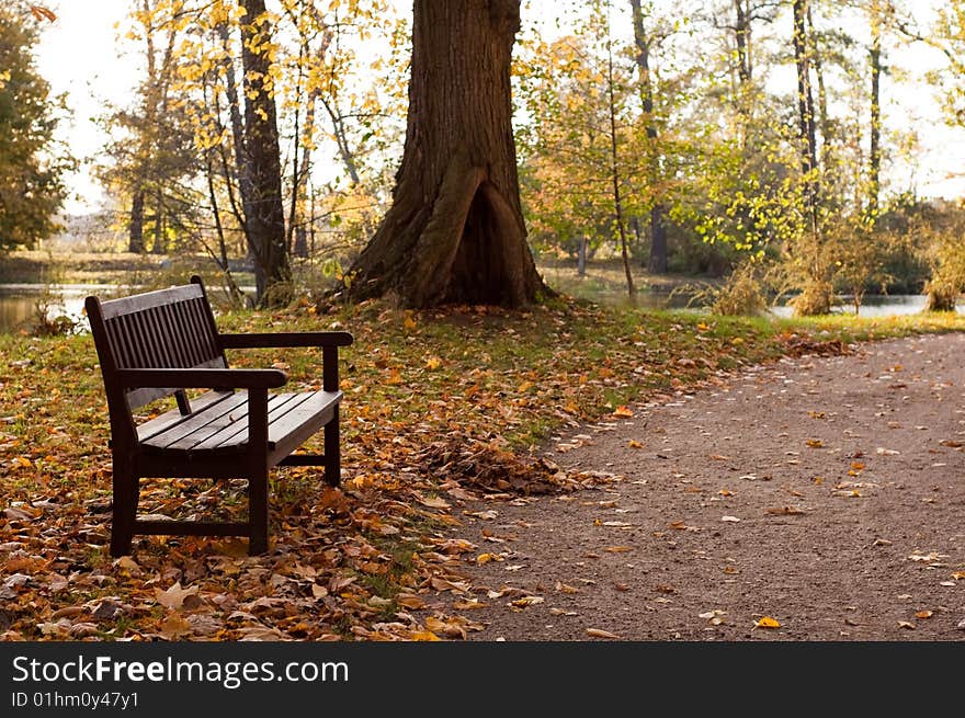 Beautiful and colour autumn scenery in the poland. Beautiful and colour autumn scenery in the poland