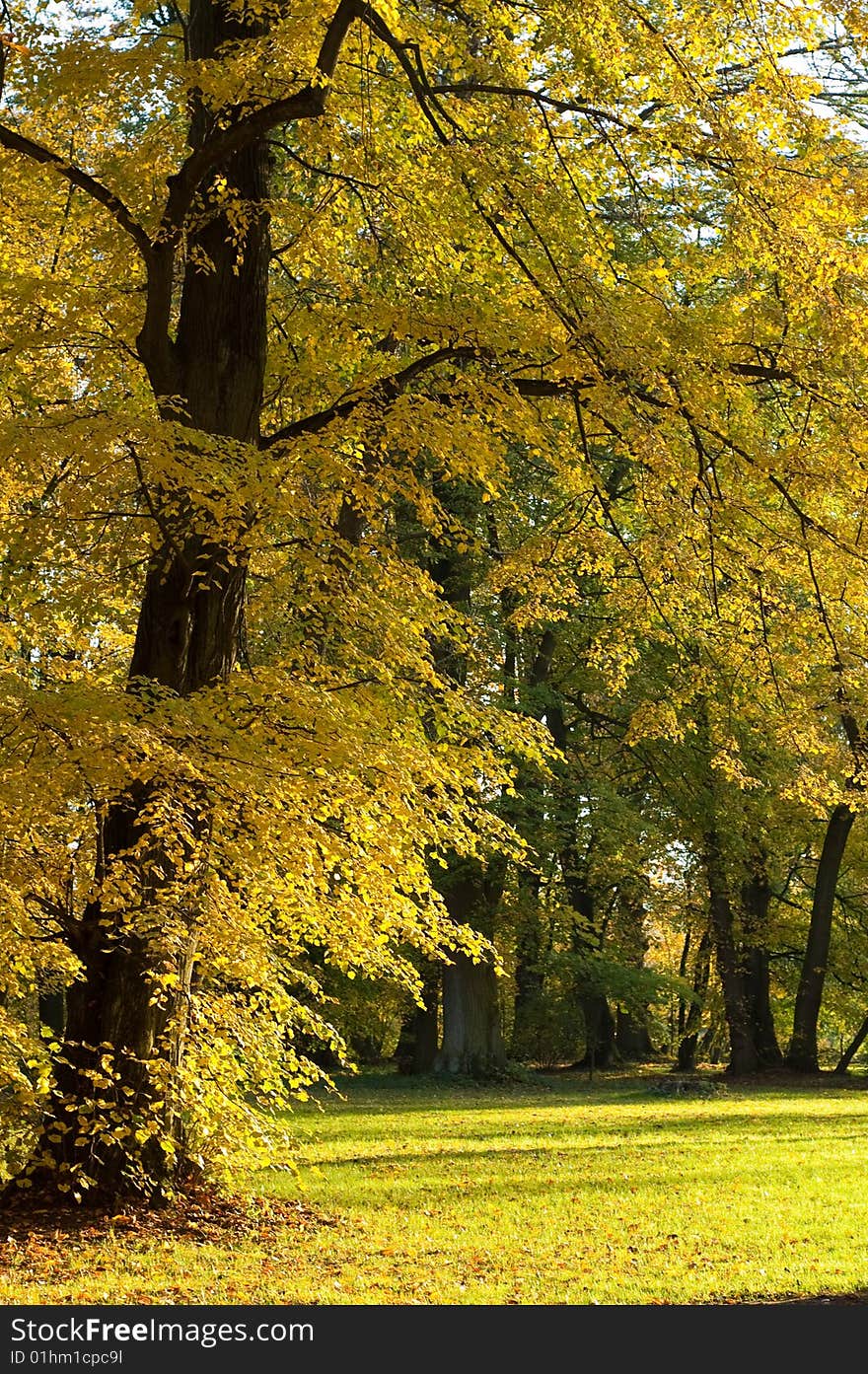 Beautiful and colour autumn scenery in the poland. Beautiful and colour autumn scenery in the poland