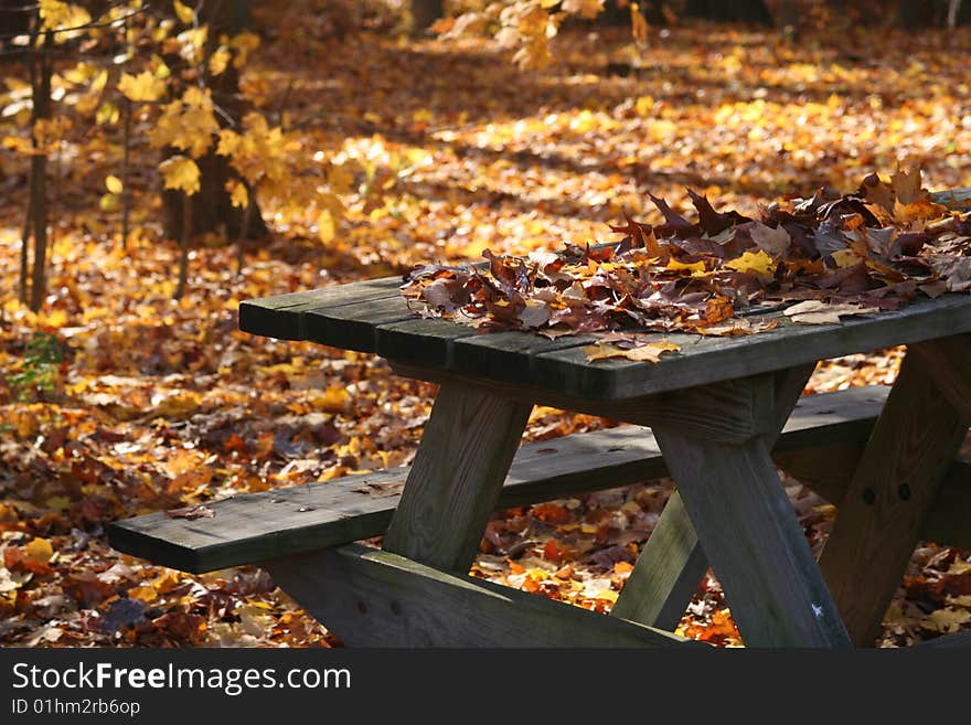 A picnic table covered in the colors of fall. A picnic table covered in the colors of fall.