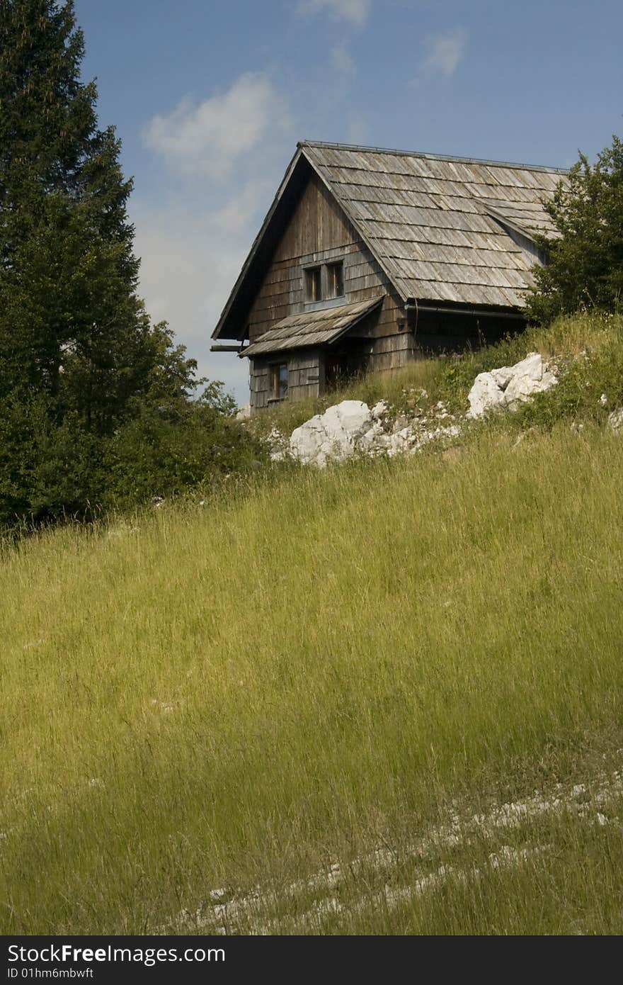 Building in an alpine meadow