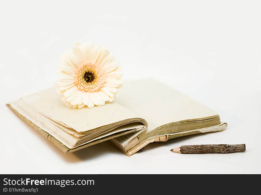 Diary with opened sheets and biege flower,  diary made with natural materials