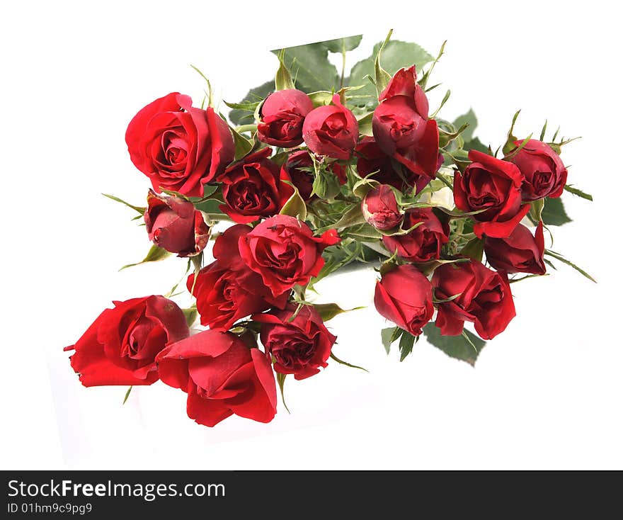 Bouquet from roses of red color on a white background. Bouquet from roses of red color on a white background.