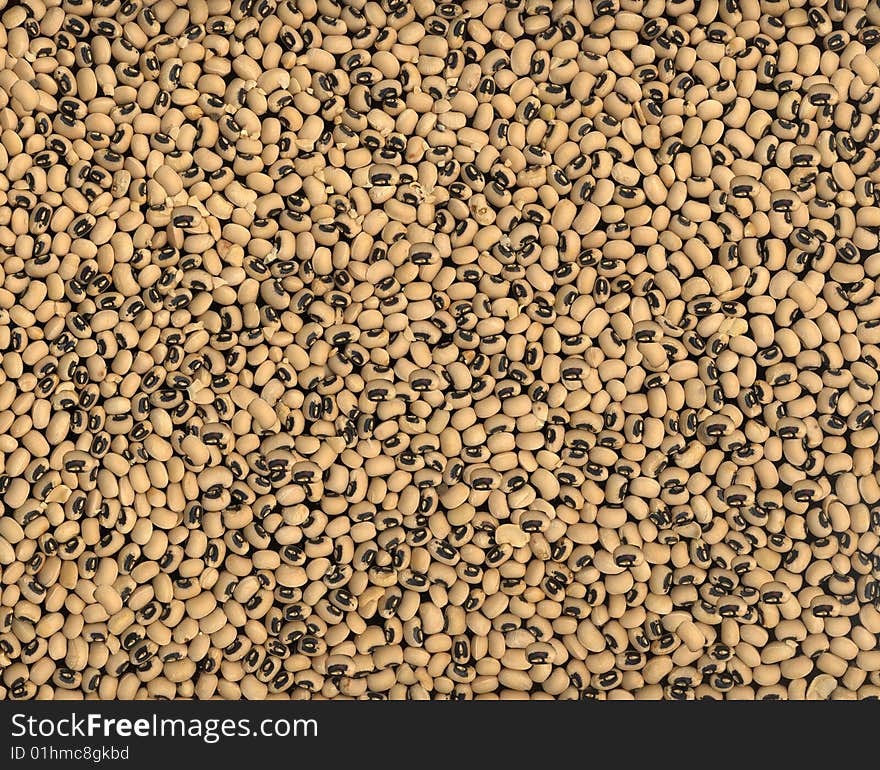 Scan of random pattern of blackeye peas