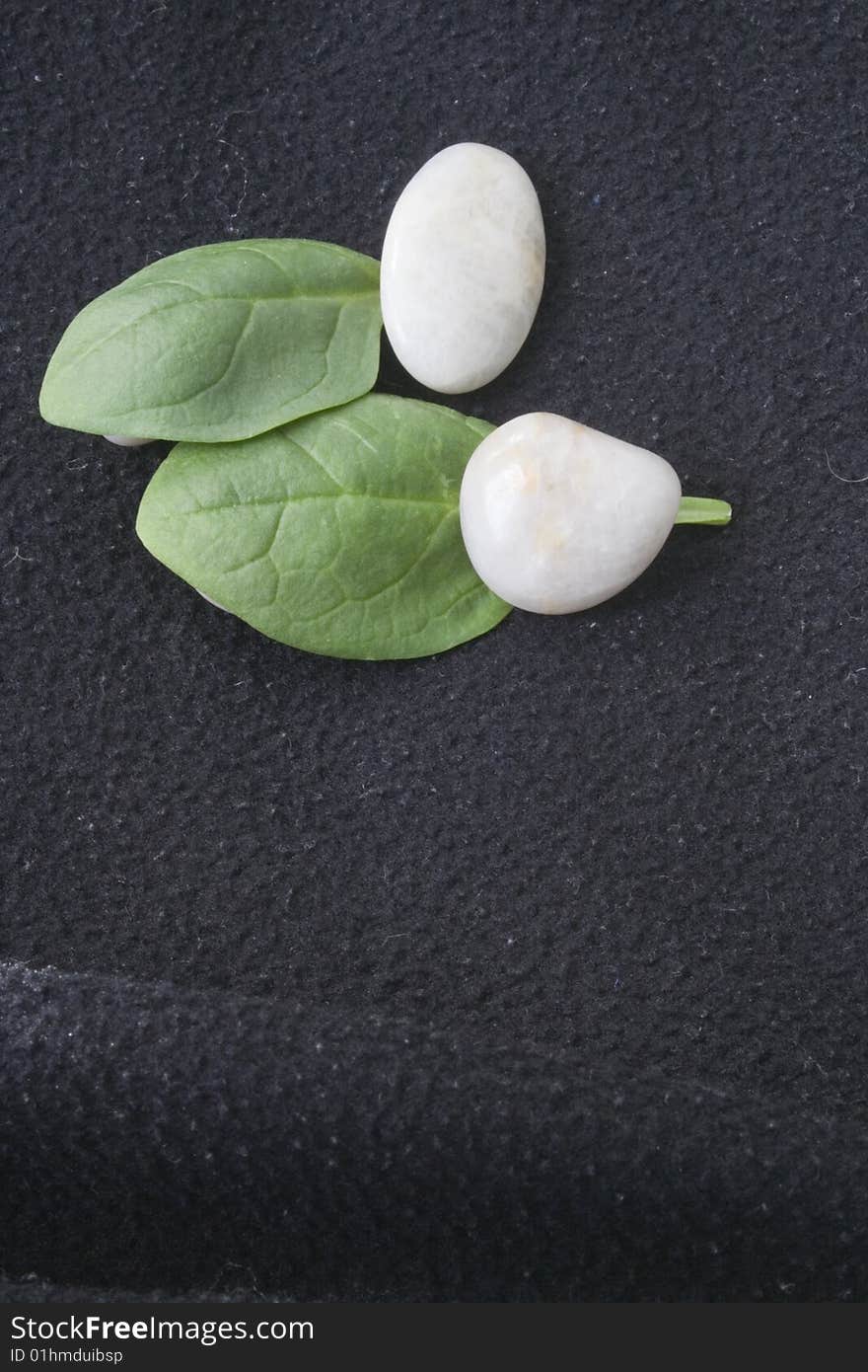 Spinach leaves and pebbles