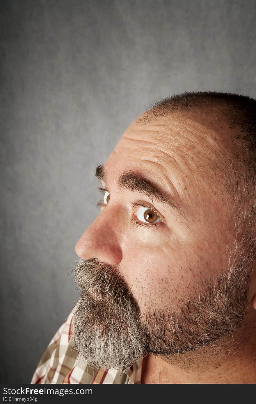 Profile closeup of a man in his forties with mustache. Profile closeup of a man in his forties with mustache