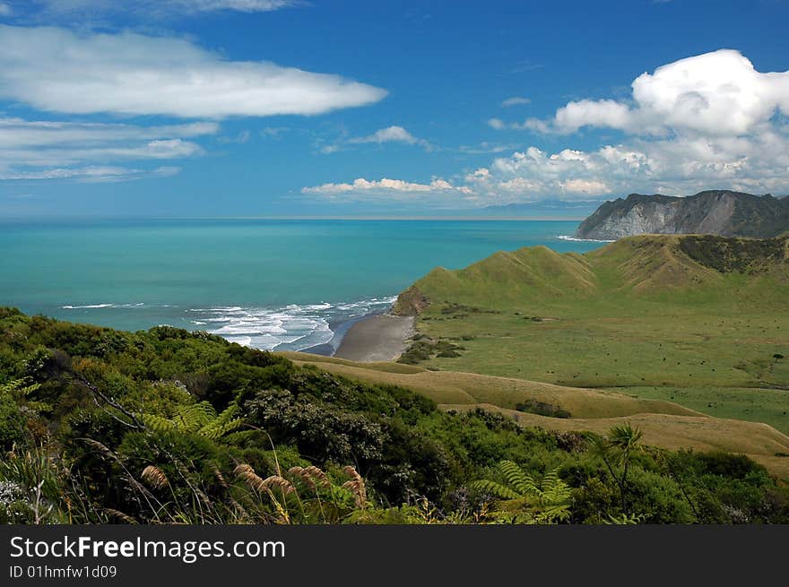 Beautiful coastline in New Zealand