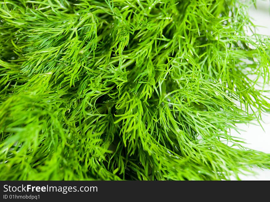 Fresh green dill close-up