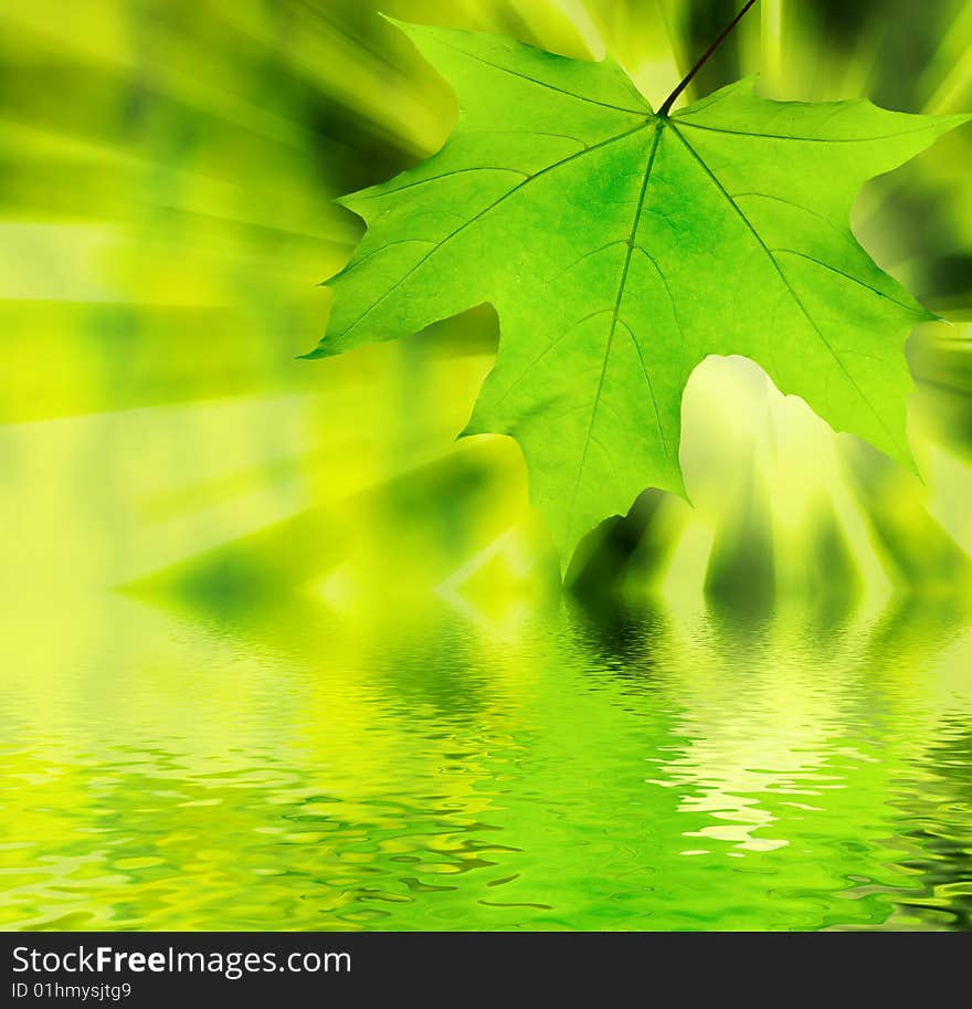 Green Leaf