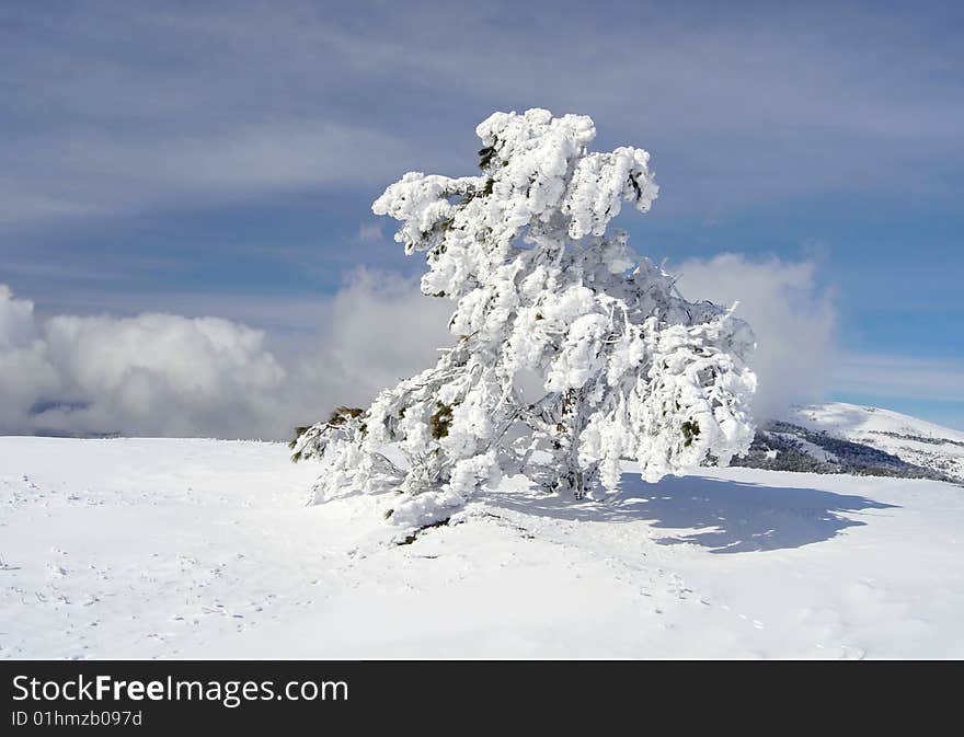 Winter in the mountains