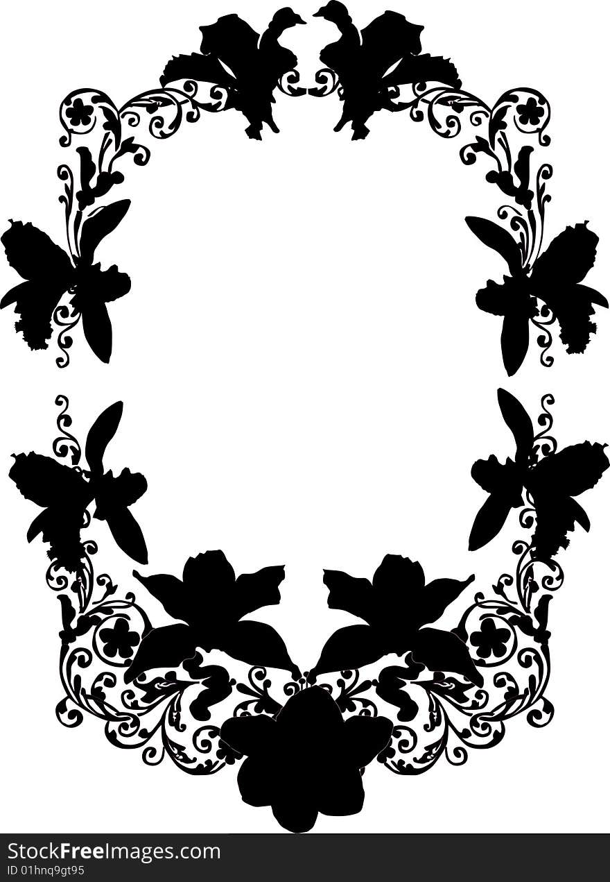 Black orchid flower frame