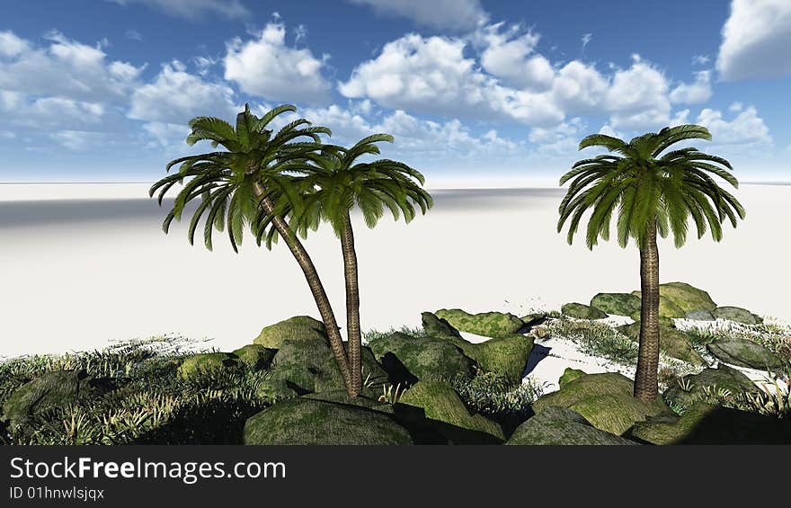 Illustration of a tropical paradise. Illustration of a tropical paradise