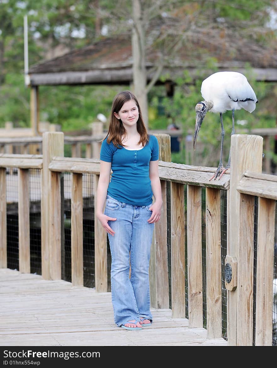 A preteen girl carefully approaching a nervous wood stork. A preteen girl carefully approaching a nervous wood stork.