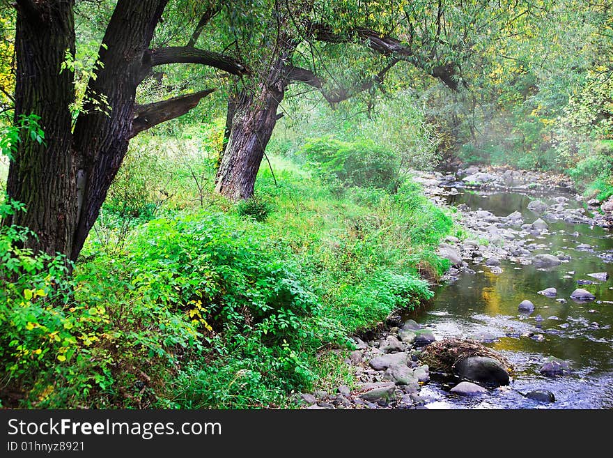 Mountainous creek in early fall time