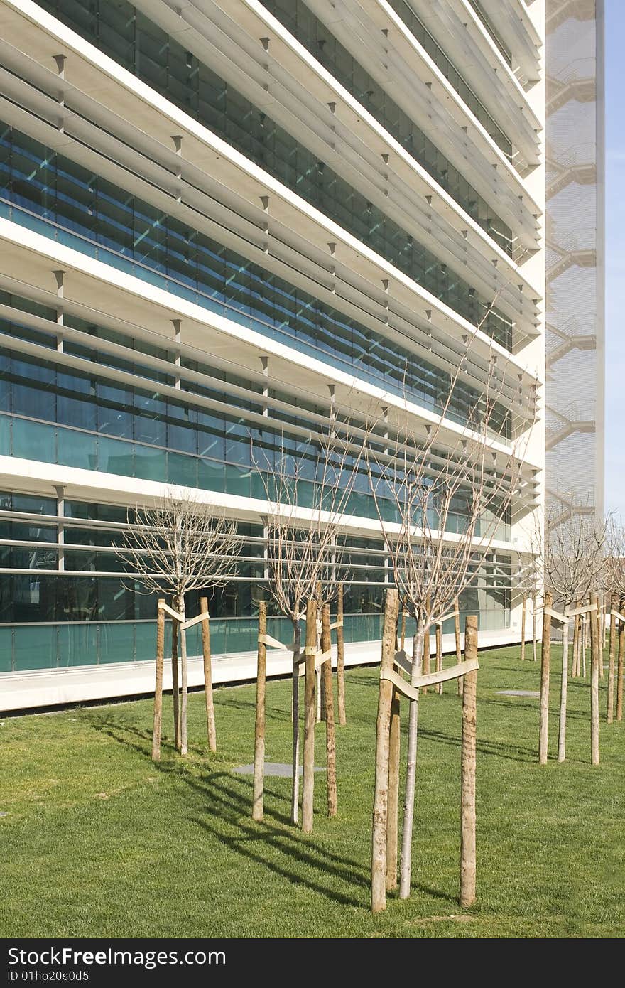 Modern office building on a background of blue sky