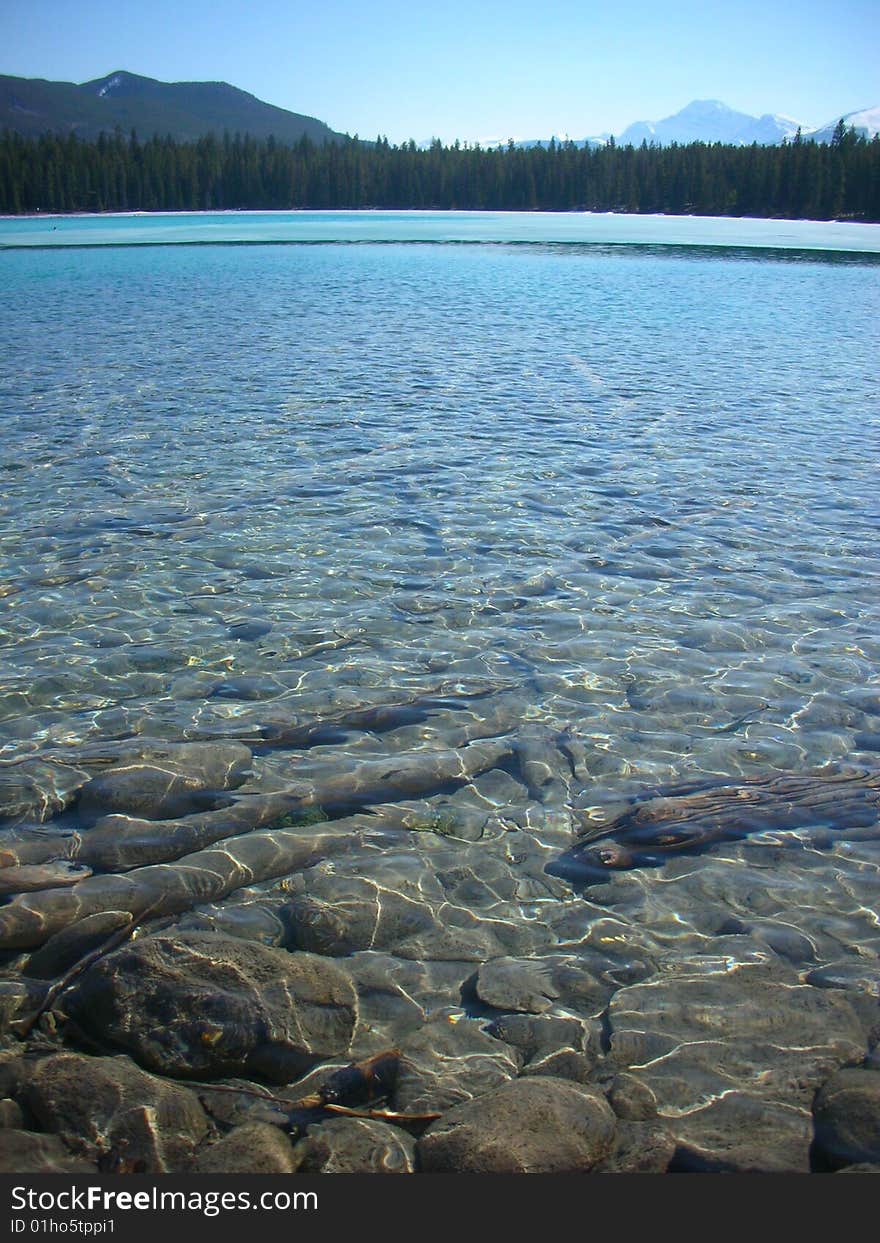 Crystal clear bluish water of a lake in Jasper National Park. Crystal clear bluish water of a lake in Jasper National Park