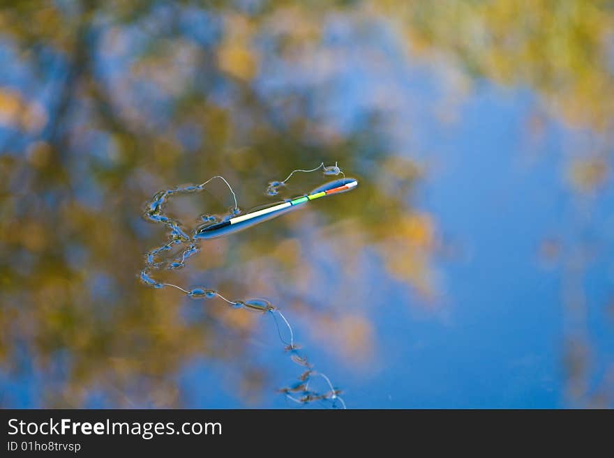 Fishing line on water surface in autumn light