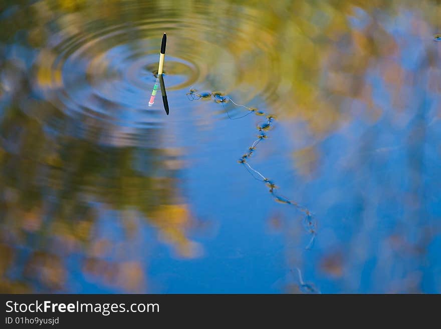 Fishing line on water surface in autumn light