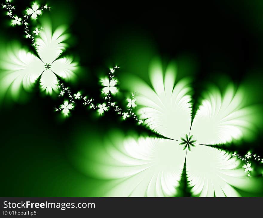 Beautiful flowers on black background