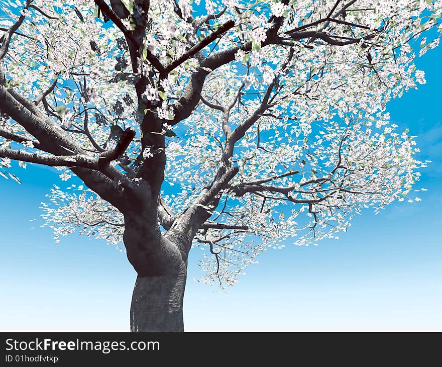 Blossoming cherry-tree. 3 d illustration