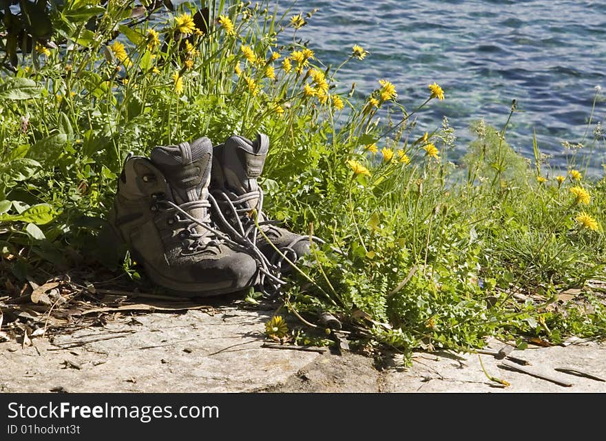 Hiking Boots