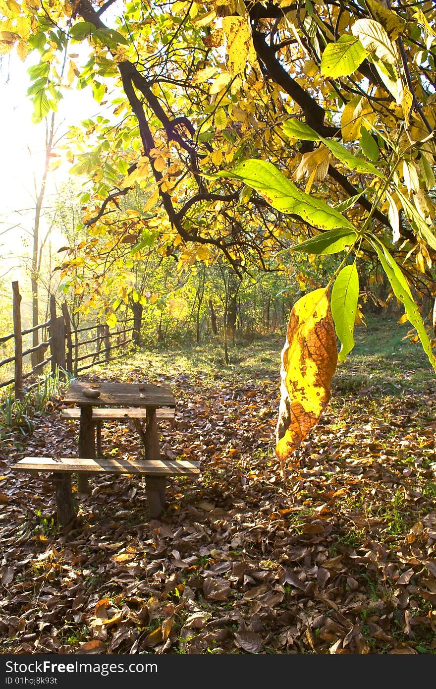 Rustic table in garden