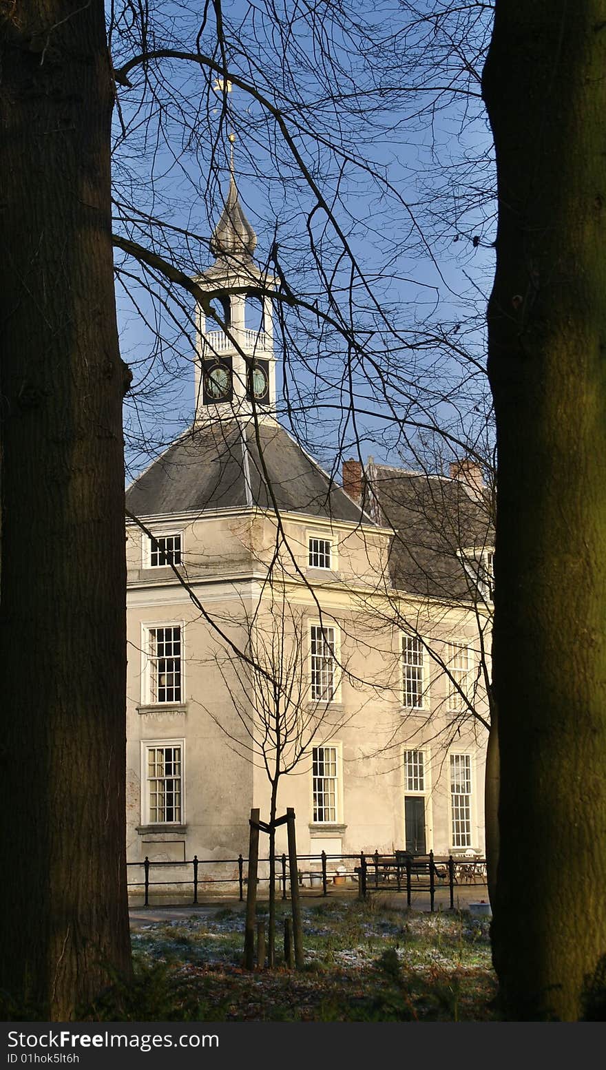 Manor house between two trees